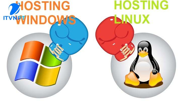 itvnpt.vn-hosting windows